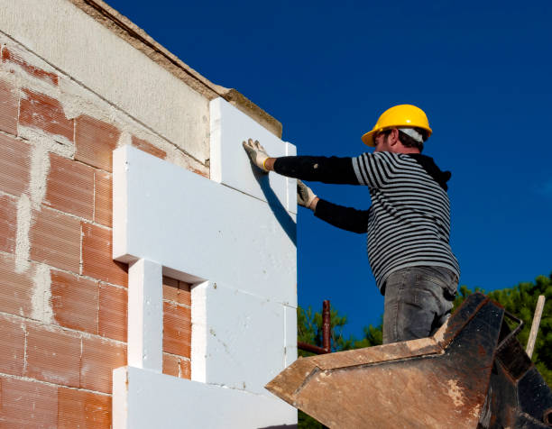 Best Insulation for New Construction  in Papillion, NE