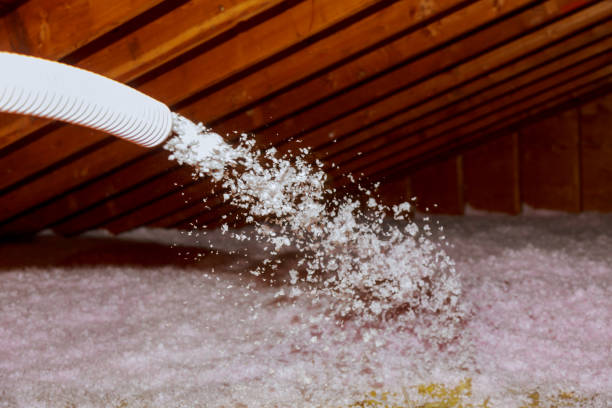 Best Commercial Insulation Contractor  in Papillion, NE