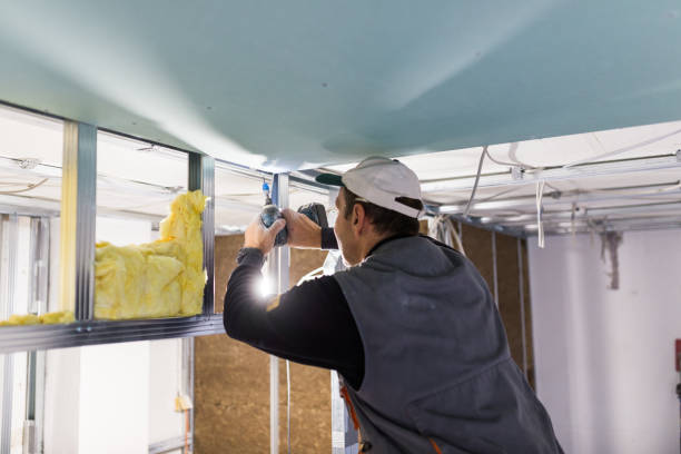 Best Residential Insulation Services  in Papillion, NE