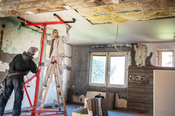 Professional Insulation Contractor in Papillion, NE