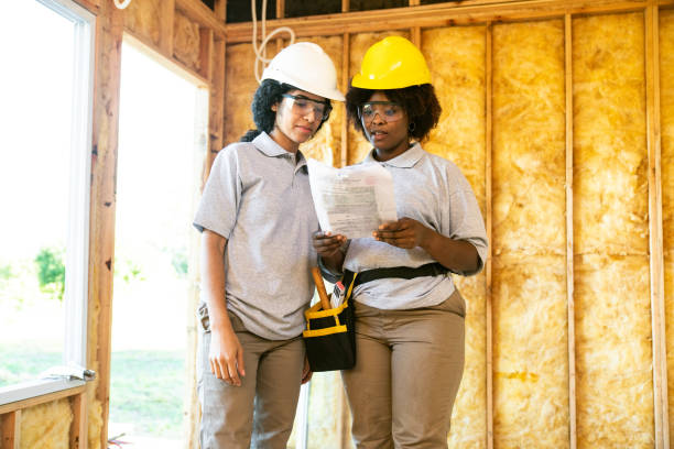 Best Insulation Removal  in Papillion, NE