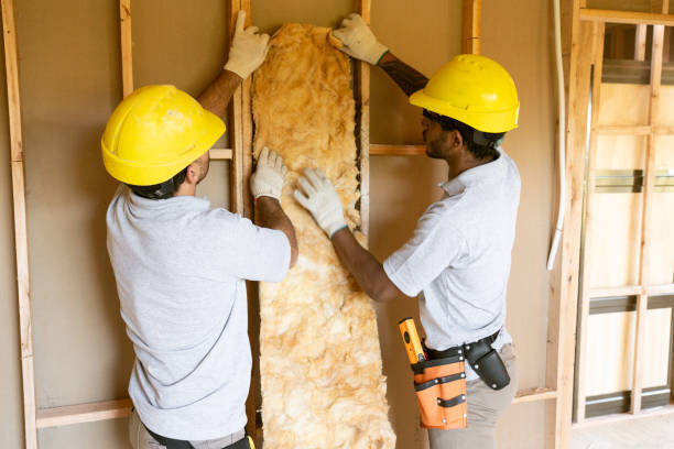 Best Soundproof Insulation Installation  in Papillion, NE