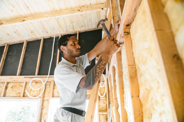 Best Insulation Inspection Services  in Papillion, NE
