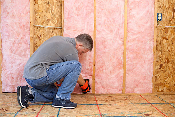 Best Best Insulation Companies  in Papillion, NE