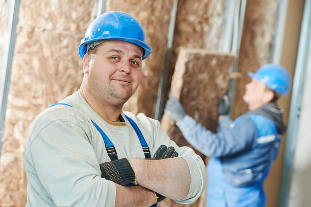 Best Local Insulation Services  in Papillion, NE