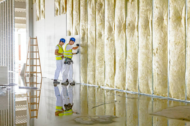 Best Best Insulation Companies  in Papillion, NE